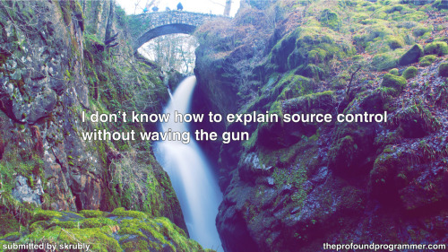 theprofoundprogrammer:
“[text: “I don’t know how to explain source control without waving the gun”, photograph of a feathery waterfall pouring between two rocky outcroppings beneath a worn stone bridge, photo credit Richard Gaywood]
[HD...
