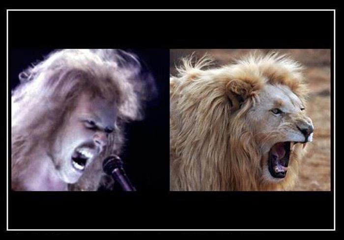 natsa700:  Rawwww