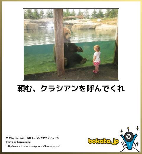 sukoyaka:  (via 【ボケ】頼む、クラシアンを呼んでくれ : ボケて（bokete）)