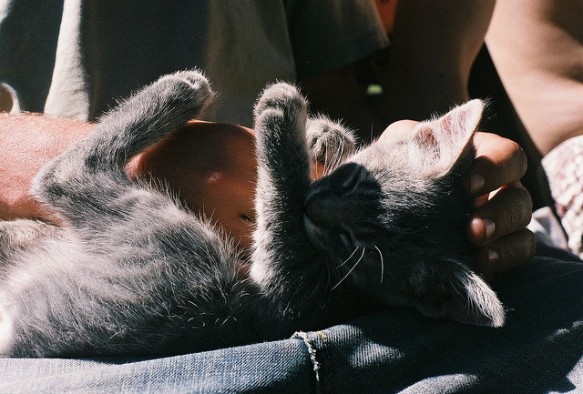 stolenfootprints:  Michito by Florsei on Flickr. 