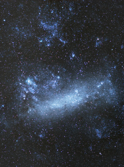 kingdom-of-animals:  Large Megellanic Cloud