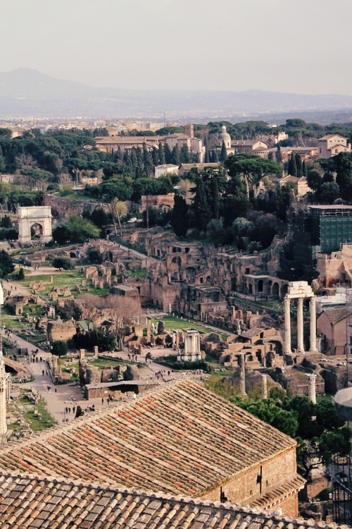 melodiaalegria:champagne:the long view of the ruins, rome, italy, 2012 (digital)These were so intere