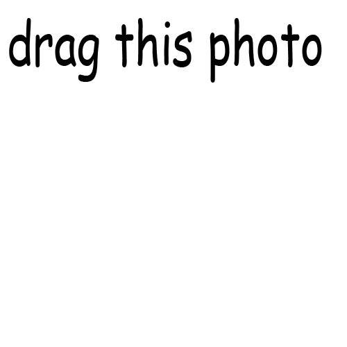 🤷‍♂️