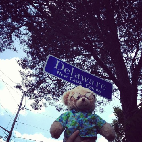 Paul Bear made it!! @jedi_ninja_pdm #delaware #newark (Taken with Instagram)