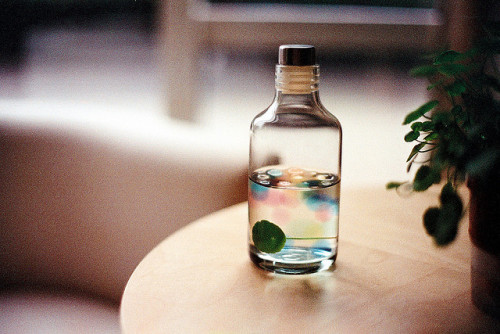 ayejie:真想把它偷偷带回家，太美了 by ♥ about : blank ♥ on Flickr.