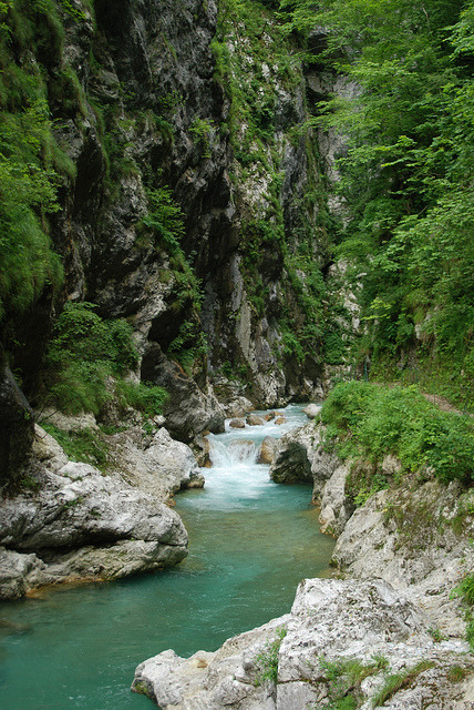 Tolmin Gorge in the Upper Soča Valley, Slovenia (by weeksjr).