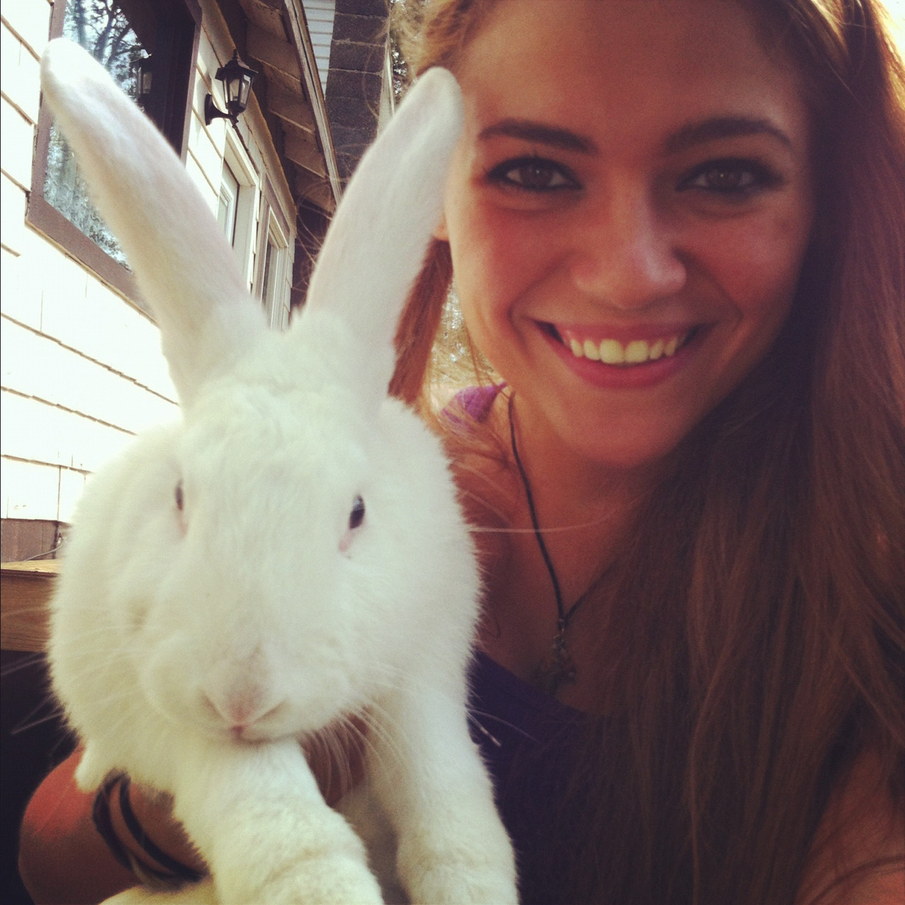 bittemeharderr:  We found a bunny ! On my street how random 