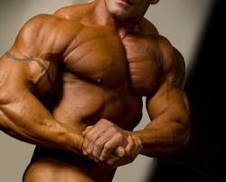 hard-muscles:  Unknown 