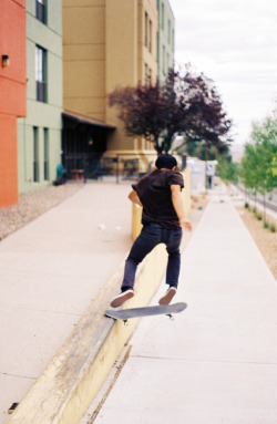 al-pha:  skate blog 