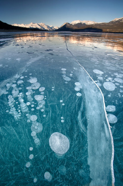 visitheworld:  Frozen bubbles at Abraham