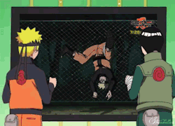 deipanda:  the naruto fandom 