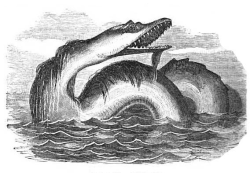 tea-and-skeletons:  Beadle’s Monthly carried a startling feature in November 1866: two drawings of a “great sea-monster” witnessed by the author, Jesse H. Lord, during a visit to Green Harbor, Nova Scotia, in August 1855. Lord recalled that he