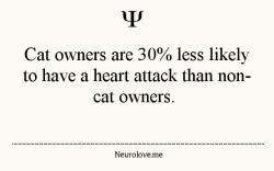 psych-facts:  A 10-year study at the University of Minnesota Stroke Center found that cat owners were 40 percent less likely to have heart attacks than non-cat owners. And that’s not all. A cat at home reduced the risk of other heart diseases and