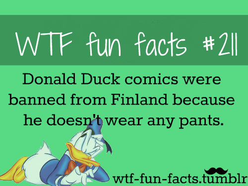 wtf-fun-facts:  MORE OF WTF-FUN-FACTS ARE COMING HERE funny and weird facts ONLY