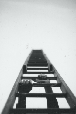 carbn:  Ladder.