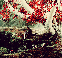rubyredwisp:  game of thrones meme: six locations [2/6] → the godswood 