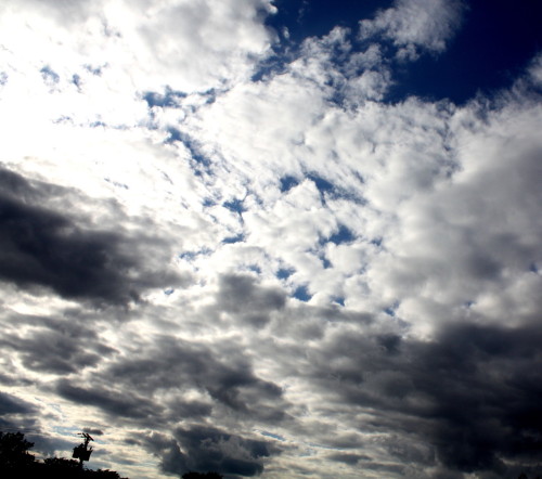 photosbyreeshmang:  Various cloud photos. All taken on an old Canon Powershot. 