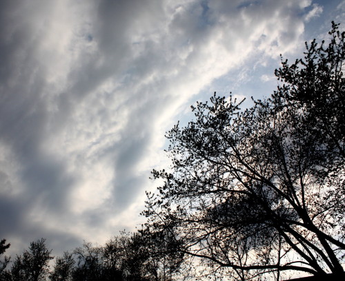 photosbyreeshmang:  Various cloud photos. All taken on an old Canon Powershot. 