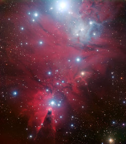 throughascientificlens:  NGC 2264 and the Christmas Tree Cluster (x)