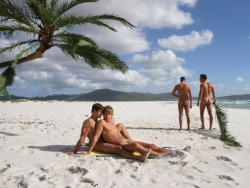 Awesomely Gay Beach