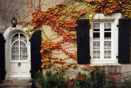 oldcathedrals:Ca, J’adore! (by bestfor / richard)