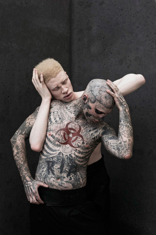 greekgod:  vchilles:  killthebloodyredprinceofdeath:  this could be the greatest