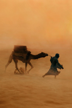 dopasetic:  newhybridkilla:  By Steve McCurry