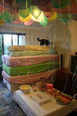 wil-tsun:  kawaiithulhu:  fucking hell this cat knows how to throw a party   This is a party I would ditch peoples weddings for