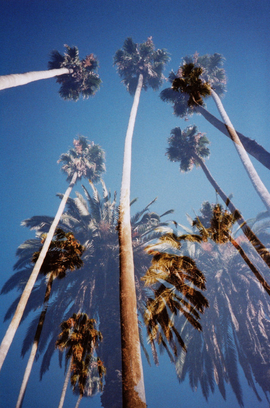 talldaddy:  http://talldaddy.tumblr.com/archive 
