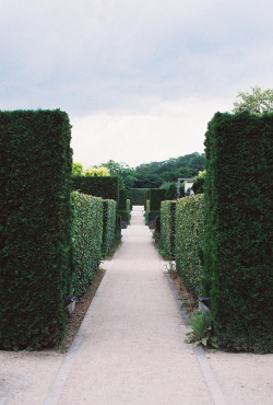 gabriellagold:  coincidentals:  Giverny (by cellophanesoul)  GabriellaGold 