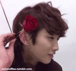 notsoxfiles:  Flowerboy Jinyoung.  I own the gifs.  