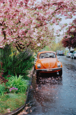 wildbliss:  imprecise:  Abby Powell  ~~~dream car~~~~ 