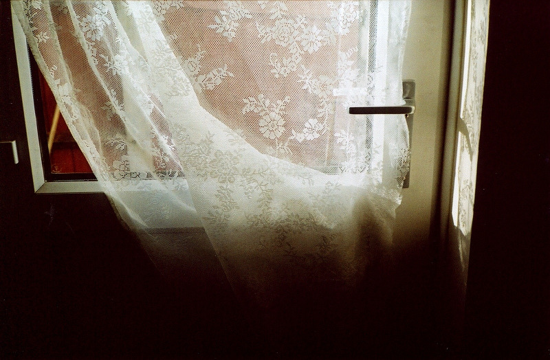 nonamesareleft:  Winter sun (by Adele M. Reed) 