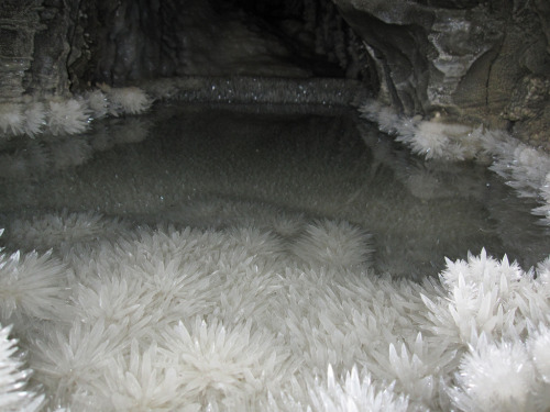 teacakery: ghostwerld:   crystal formations in a pool  I don’t even care how much it’d h