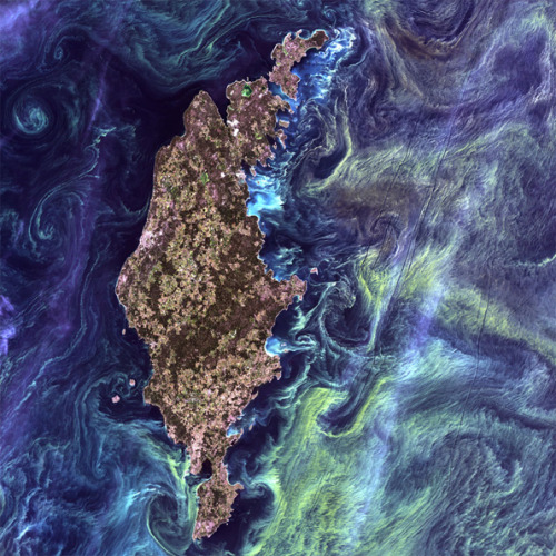 watershedplus:  40 years ago NASA launched its first Landsat satellite to monitor and document the changes taking place across the planet. To celebrate four decades of earth-gazing, NASA and the US Geographical Society selected and digitally coloured