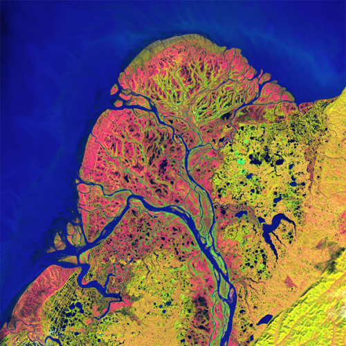 watershedplus:  40 years ago NASA launched its first Landsat satellite to monitor and document the changes taking place across the planet. To celebrate four decades of earth-gazing, NASA and the US Geographical Society selected and digitally coloured
