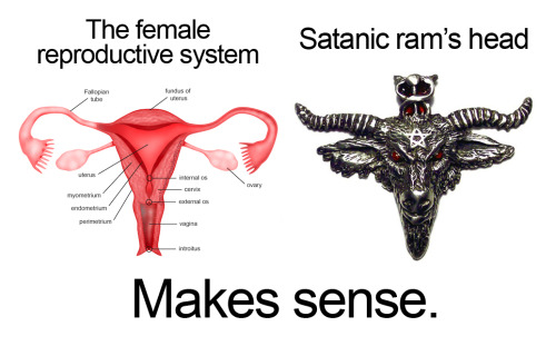 Female reproductive system anatomy and vagina