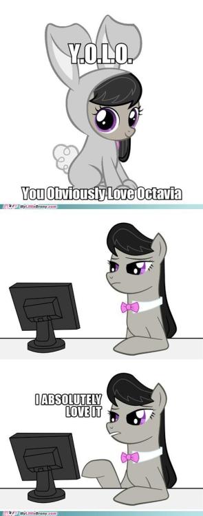 epicbroniestime:  P.D.: van a poner mas tags? e.e taria cool