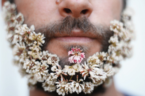 seansavestheworld:  i should do a flower beard  I’m gonna do this to Daddys beard *giggle*