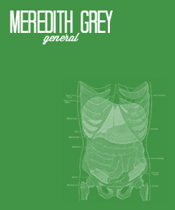 007rhimes:  Minimalist Posters | Derek Shepherd &amp; Meredith Grey 