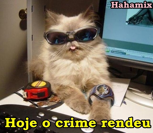 errou feio, errou rude