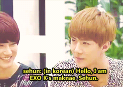 kai-has-swag:kimothys:suho laughing about how sehun didn’t introduce himself in thai so he tells him