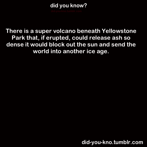 did-you-kno:  Source