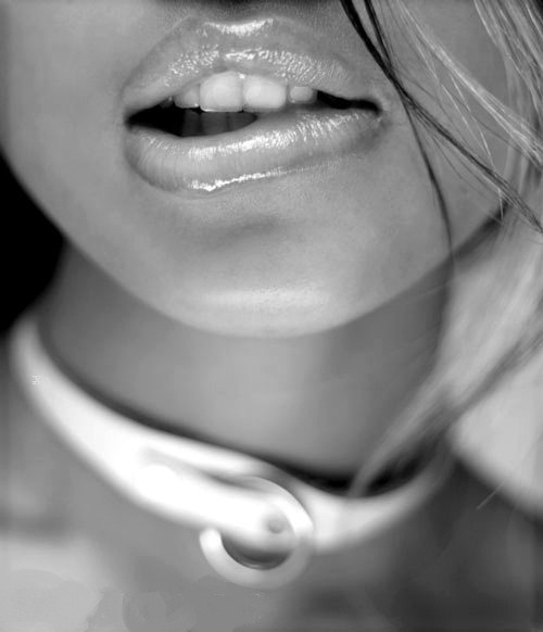 http://kinkysalon.tumblr.com/post/28391795509