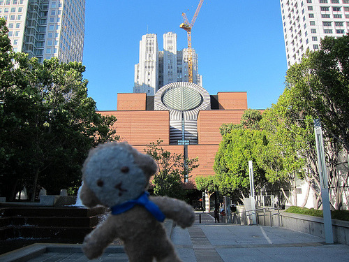 sfmoma:
“ elainer337:
“ 7/30/2012 - morris and the sfmoma.
”
Dear Morris: your blue tie (scarf?) is dashing. We hope you enjoyed the museum. Love, SFMOMA.
”