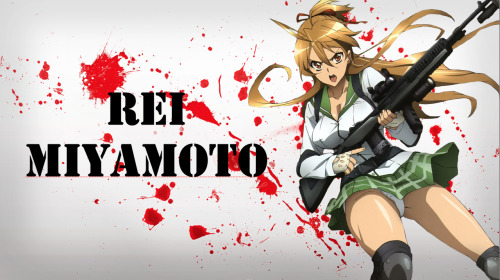 otaku-project:  The Zombie-Apocolypse Team from Highschool of the Dead.