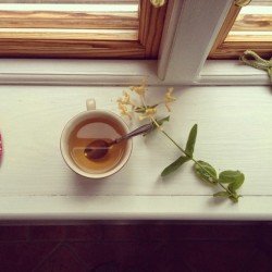 wahlflowur:  saola:  Love  tea. 