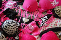 girls that wear VS Pink &gt;&gt;&gt;&gt;&gt;&gt;