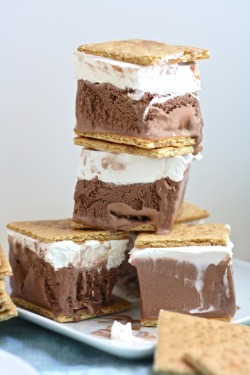 fuckyesnicole:  gastrogirl:  frozen s’mores.