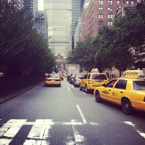 caitllinree:   luxelif-e:  more here❀